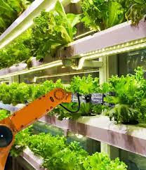 Global Vertical Farming Show 2022 in Dubai City, United Arab Emirates  for Agriculture & Forestry - Image 1